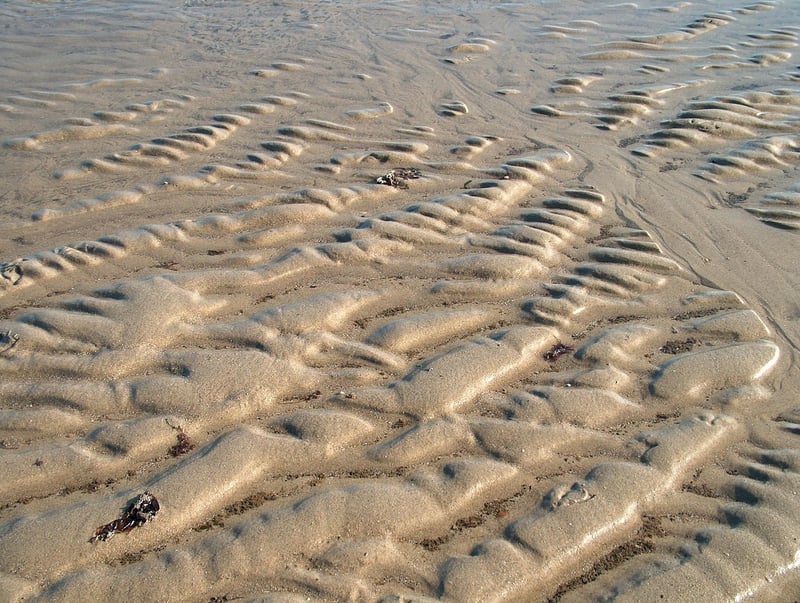 Pumpkin Spice Latte Cupcakes